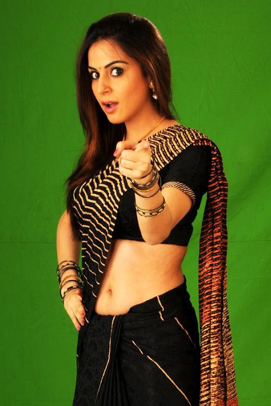 Hot Indian Model Shraddha Arya unseen pics