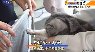 かにゃ～あみ かにゃーあみ ねこ 爪とぎ