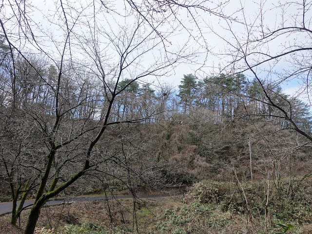 鳥取県西伯郡伯耆町丸山　ふれあいの森キャンプ場に向かう