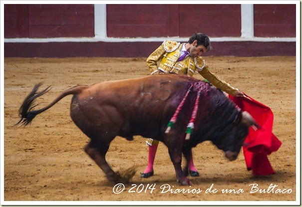 Toros 2014 (2)-27