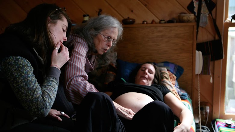 Birth Story: Ina May Gaskin and the Farm Midwives (2013)