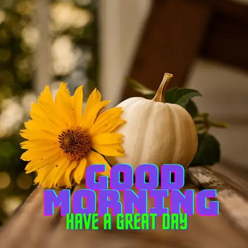 Warm good morning images