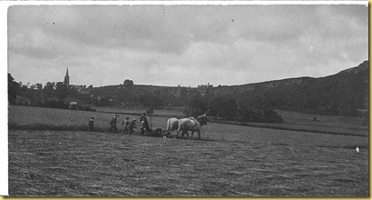 History Group Images. CD4 004