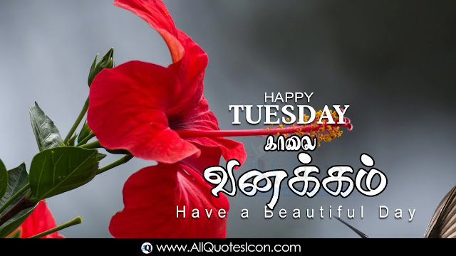 Tamil-good-morning-quotes-wishes-for-Whatsapp-Life-Facebook-Images-Inspirational-Thoughts-Sayings-greetings-wallpapers-pictures-images