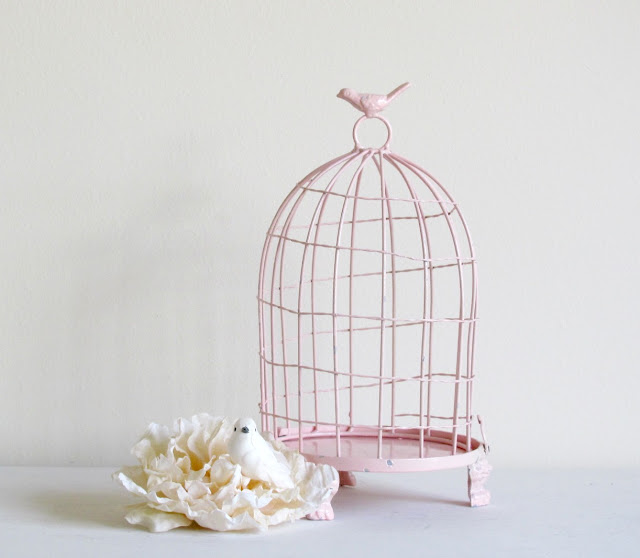 Bird Cage Design Ideas