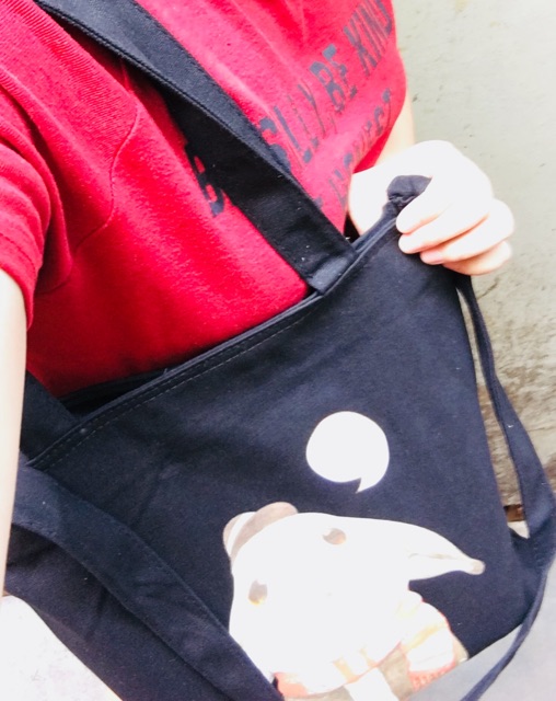 Túi đeo chéo vải tote canvas hình thỏ xinh xắn cho nữ đi học đi du lịch - phuishop