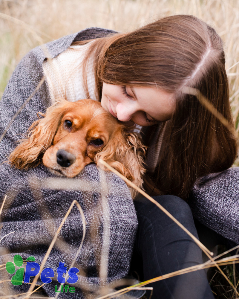 10-tips-to-keep-my-dog-healthy-and-happy