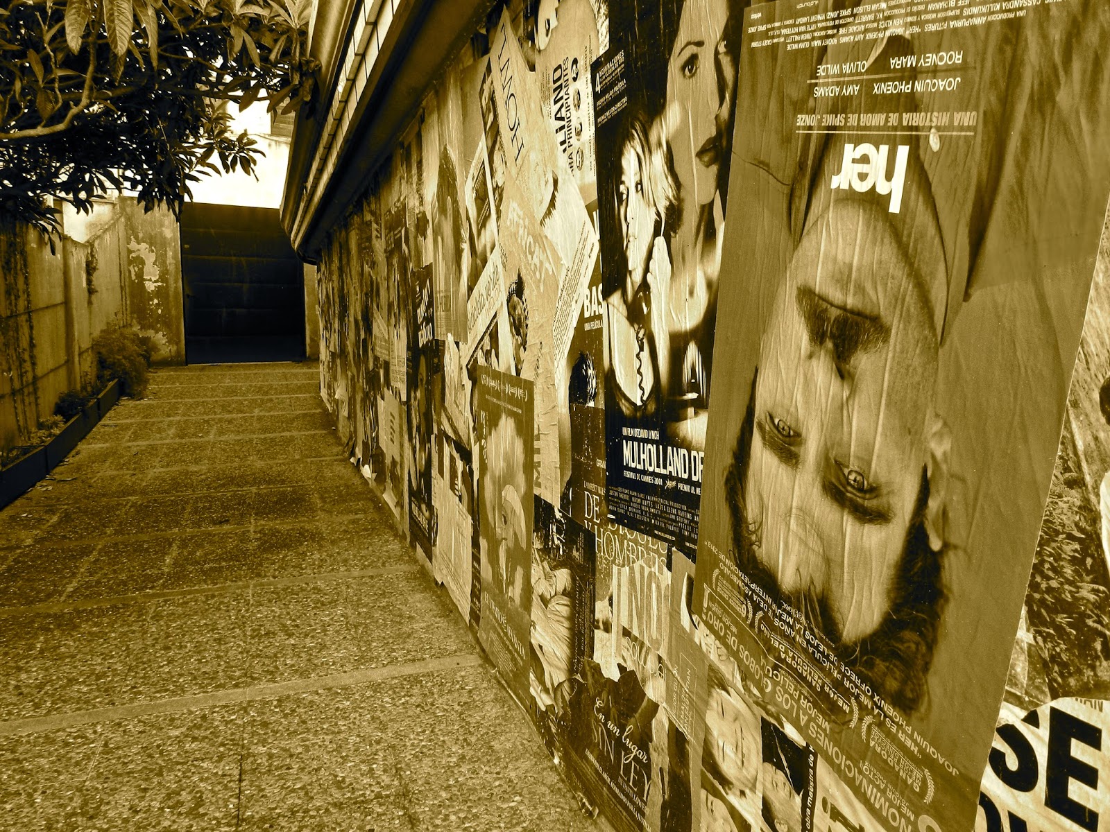 Passadís que condueix a entrada del  Cinema Truffaut, cinema alternatiu de Girona.