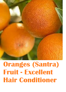 Health benefit of orange santra fruit Oranges (Santra) Fruit - Oranges (Santra) Fruit - Excellent Hair Conditioner 