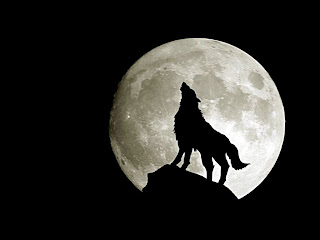 Full Moon and Wolf with Black Background