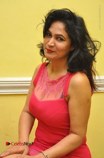 Telugu Actress Vijaya Murthy Stills in Red Short Dress at Www.Meena Bazaar Movie Opening  0047.JPG