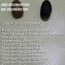 http://kosmetikimportirhalal.blogspot.co.id