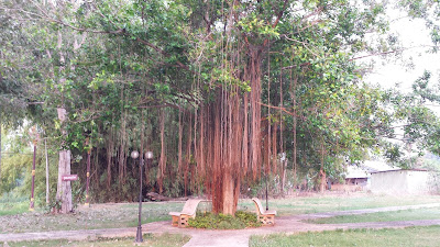 Park in Wat Sing Thailand