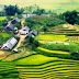 Tour DU LỊCH SAPA BẰNG TÀU 3 NGÀY 4 ĐÊM