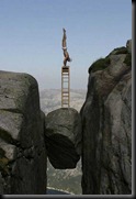 image (3)