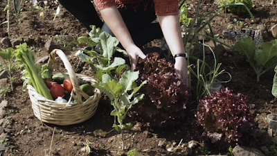 Gardening