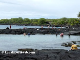 Snorkeling Honaunau Bay after visit to City of Refuge