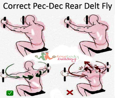 Correct Pec-Dec Rear Delt Fly