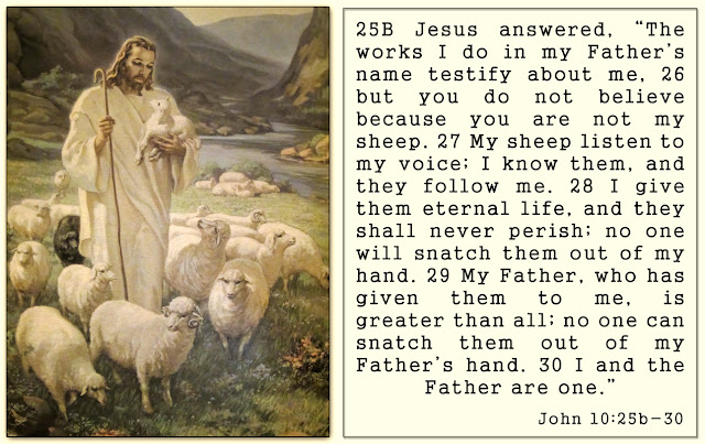 Painting of Jesus - The Good Shepherd - with John 10 : 25b - 30