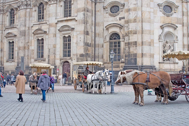 konie w centrum Drezna, bryczki, detale miasta