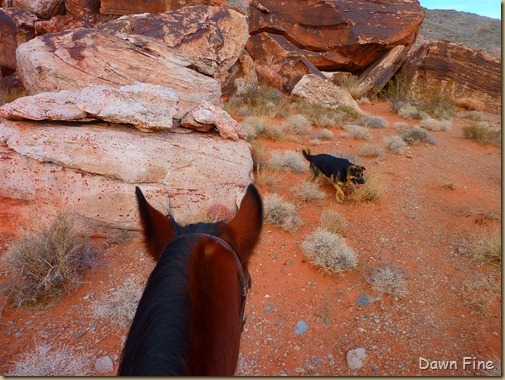 horseback riding with merrilee_004