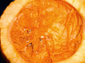 organic pumpkin guts