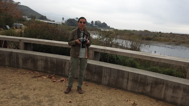 Pacific Coast Highway (1)