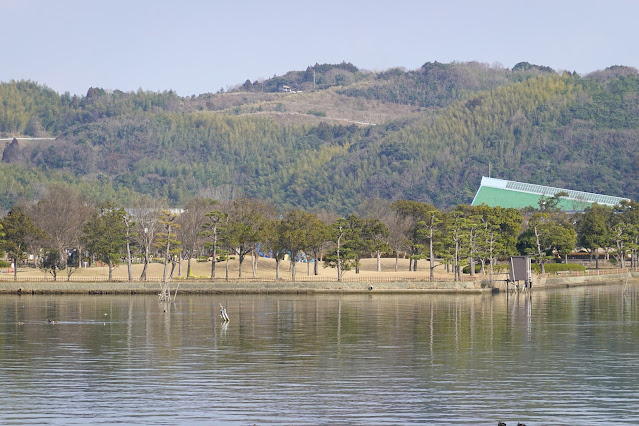 鳥取県東伯郡湯梨浜町下浅 東郷湖羽合臨海公園浅津公園からの眺望