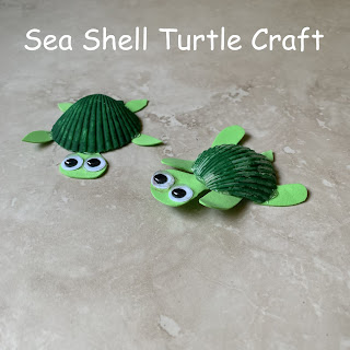 Sea Shell Turtle Craft