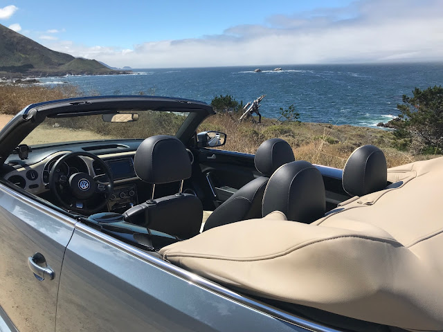 Interior view of 2019 Volkswagen Beetle Final Edition