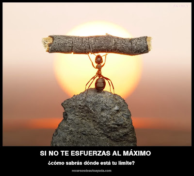 Imágenes con frases de Motivación para Superarse y Seguir Adelante