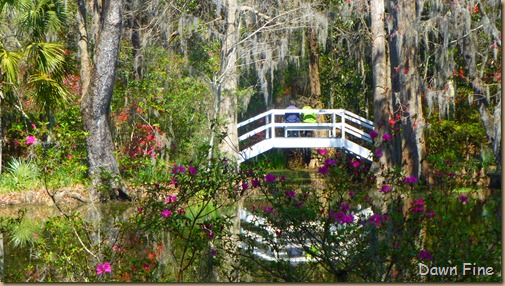 Magnolia Plantation_110