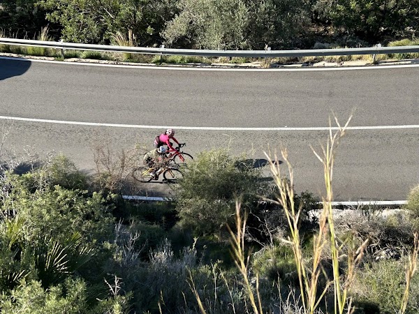 CAMPUS CICLISMO ALTEA