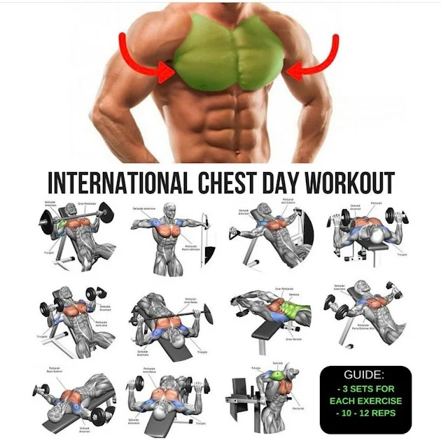 chest workout