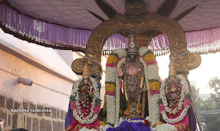  Vasantha utsavam, Thiruvallikeni, Sri PArthasarathy Perumal, Temple, 2017, Video, Divya Prabhandam,Utsavam,