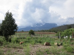 IMG_6361