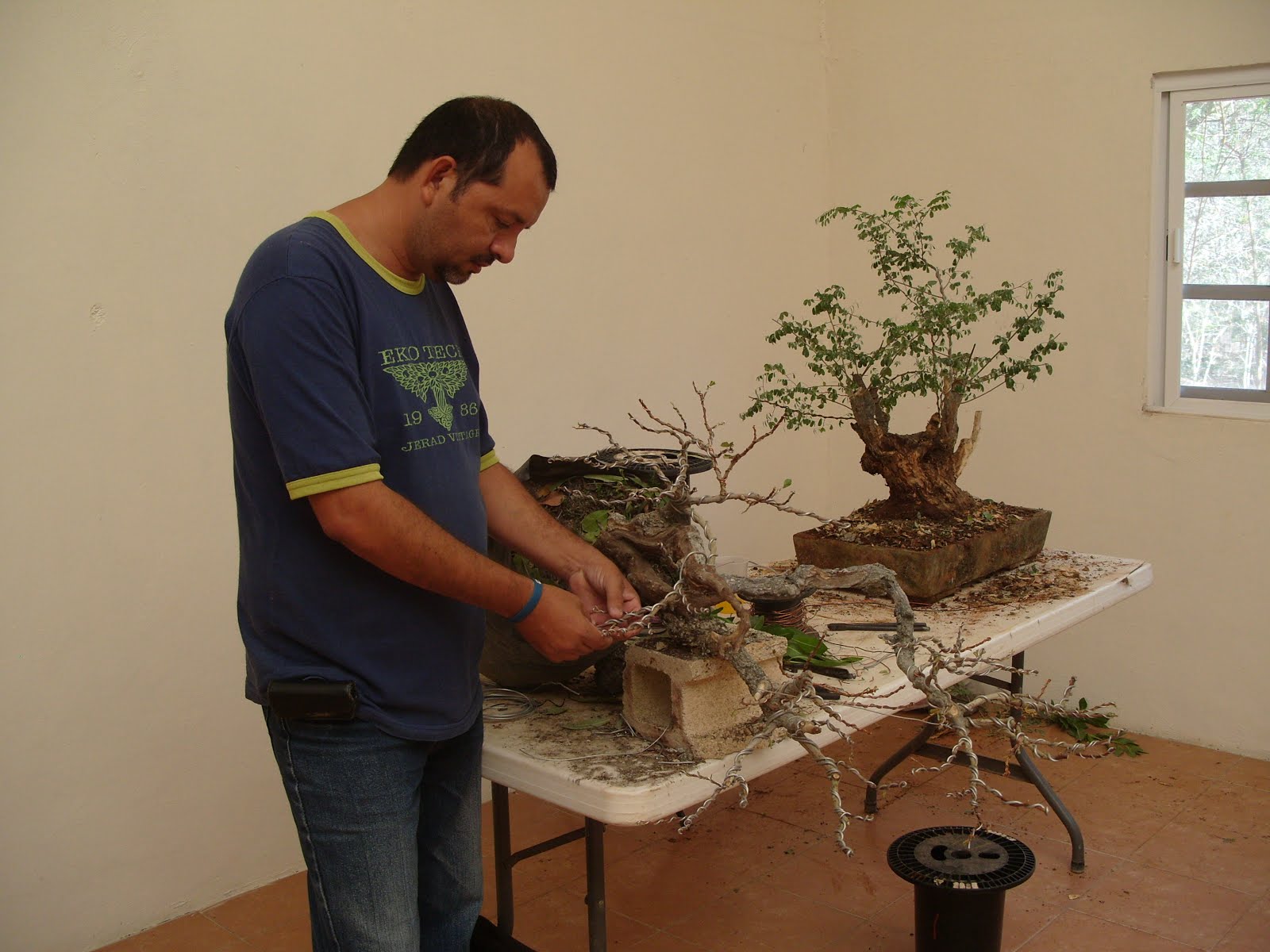 En el curso del Maestro Mauro Stemberger