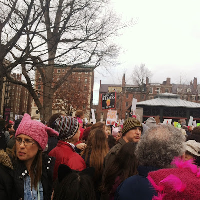 The crowd along Charles St section of Boston Common  for the Boston Women's March