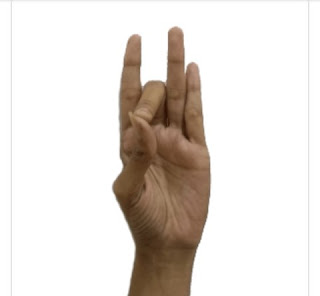 Yoga Mudra benefits.