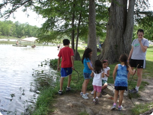 Kerrville June 039