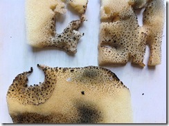 Man made burnt detail 4