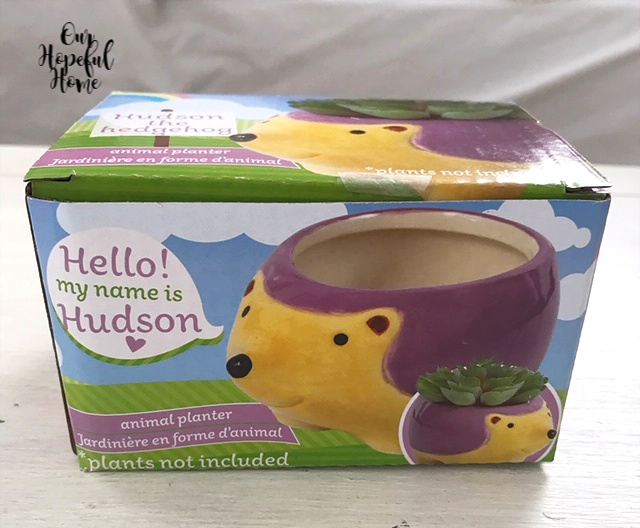 animal planter purple hedgehog box Hudson heart 