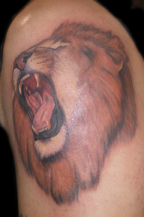 Lion Tattoos designs picture 2012