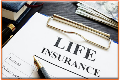 Life Insurance Terms