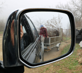 Hitching a ride the local way