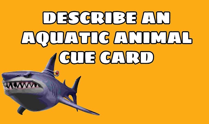 Describe an aquatic animal cue card 