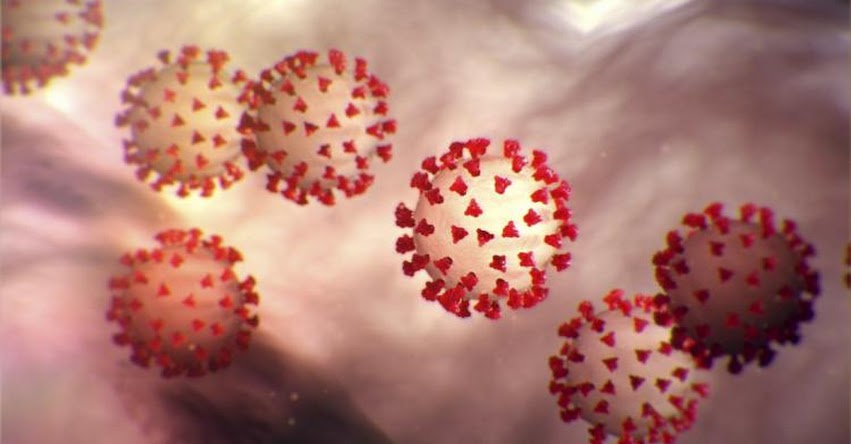 Investigadores revelan en qué etapa el coronavirus puede ser más infeccioso