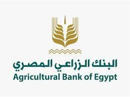 البنك الزراعي المصري يواصل استلام محصول القمح من الموردين والمزارعين في ١٩٠ موقع