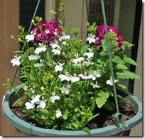 IMG_0553 IMG_0553