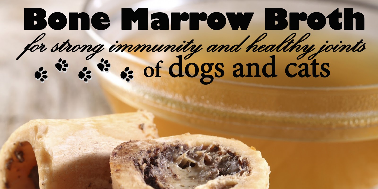 Katerina's Journal: Bone Marrow Broth For Your Dog and Cat ...